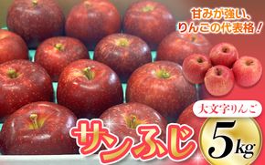 りんご・梨カテゴリ人気ランキング第1位 ≪12月末までの受付≫【2026年1月上旬より順次発送】大文字りんご園 サンふじ 小玉サイズ 約5kg (約18~20玉)/ 樹上完熟 りんご リンゴ 林檎 果物 くだもの フルーツ 甘い 旬 産地直送 予約 先行予約【dma513-sf-5E】