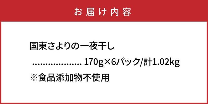 国東さよりの一夜干し/大漁1kg_1043R
