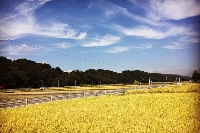 【年間定期便】八ヶ岳珈琲 スペシャルティコーヒー 粉 100g 5種類 計 500g 隔月6ヶ月 [アフターゲームカフェ 山梨県 韮崎市 20745262] 珈琲 コーヒー コーヒー豆 珈琲豆 自家焙煎 焙煎 定期便