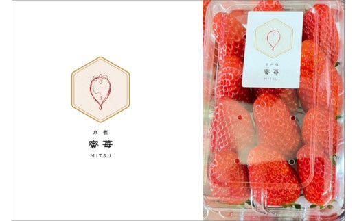 ys{Oszys\z2026NY s iЂ߁jiTCYi12j×1j600gi2026N1{`j@FM00012