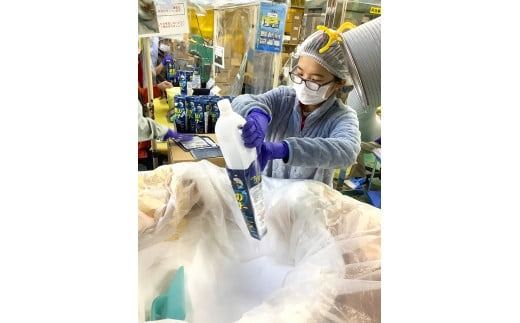 【詰替用大容量3袋×2】 衣料用洗剤 デオスタイル&柔軟剤 フラガンシア プリマローズの香り  洗剤 柔軟剤 衣類 障がい者 就労支援 事業