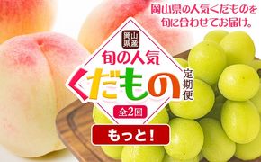 【先行予約】岡山県産 旬の 人気 くだもの もっと！ 定期便 全2回 桃 約2kg シャインマスカット 約2kg《7月上旬-11月中旬頃出荷》フルーツ 果物 定期便 お取り寄せ デザート 送料無料---osy_cmsbtei_24_35000_jul2---