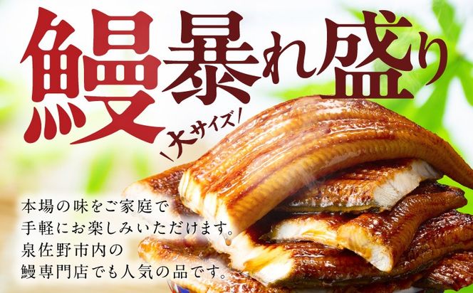 G3615d 【土用の丑の日までにお届け】うなぎ 蒲焼き 暴れ盛り 合計 600g【鰻 真空パック 簡単調理 訳あり サイズ不揃い 人気 惣菜 うな重 うな丼 ひつまぶし にも】