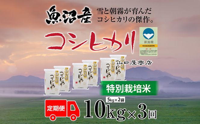 定期便 全3回 特別栽培米 魚沼産コシヒカリ 5kg×2袋 お米 コメ 
