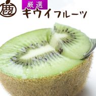 ＜2025年11月より発送＞厳選 キウイフルーツ0.5kg+250g（傷み補償分）◇ ※北海道・沖縄・離島への配送不可 ※2025年11月中旬～2026年4月下旬頃に順次発送予定