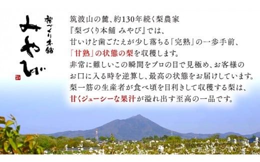 これぞ甘熟 『 幸水 』 5kg ( 自家用 ) 2026年産 先行予約 フルーツ 果物 国産 日本産 梨 ナシ なし 和梨 [DJ001ci]