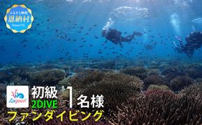 【恩納村ラグーン】ファンダイビング 初級 2DIVE 1名様