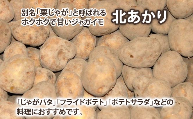【2026年秋冬発送】甘くてホクホク！ じゃがいも きたあかり 約5kg 野菜 新鮮 いも 芋 