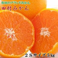 【有田のブランドみかん】田村みかん 約5kg (2Sサイズ・秀品)