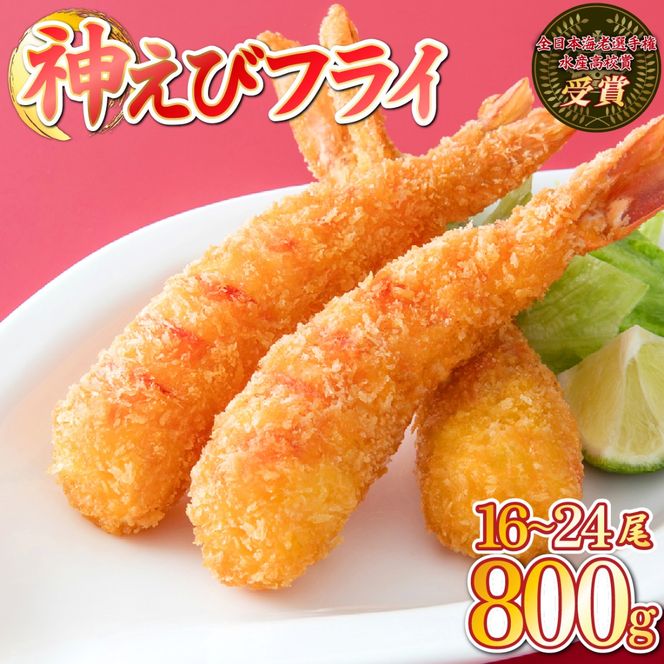 yꌧz_уtC800gi16`24jD-664-E