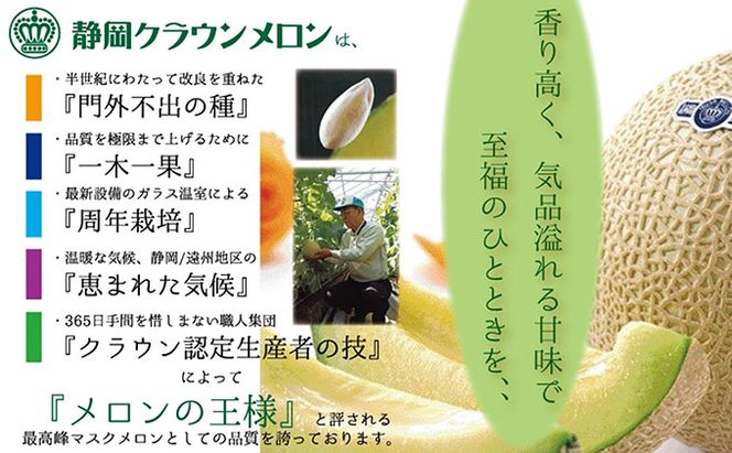 【6ヶ月定期便】クラウンメロン（山等級）1玉入 