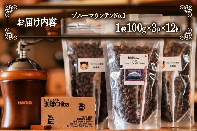 【12回定期便】 コーヒー豆 ブルーマウンテン 100g 3パック [珈琲Chiba 福岡県 筑紫野市 21761420] コーヒー 珈琲 豆 珈琲豆 セット ブルーマウンテンNo.1 ブルマン 豆のまま おいしい coffee bean beans 定期 定期便 12ヶ月 12回