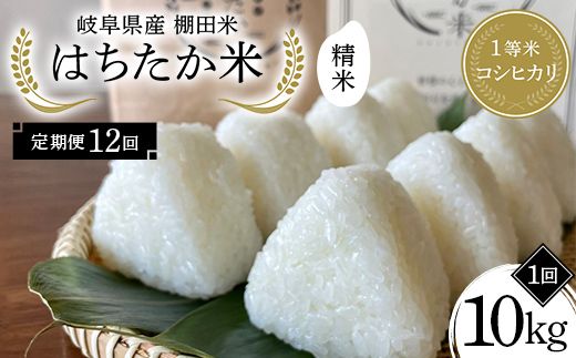 【全12回定期便】令和8年産 岐阜県産 棚田米 1等米コシヒカリ はちたか米 精米10kg（12回） F4N-3120