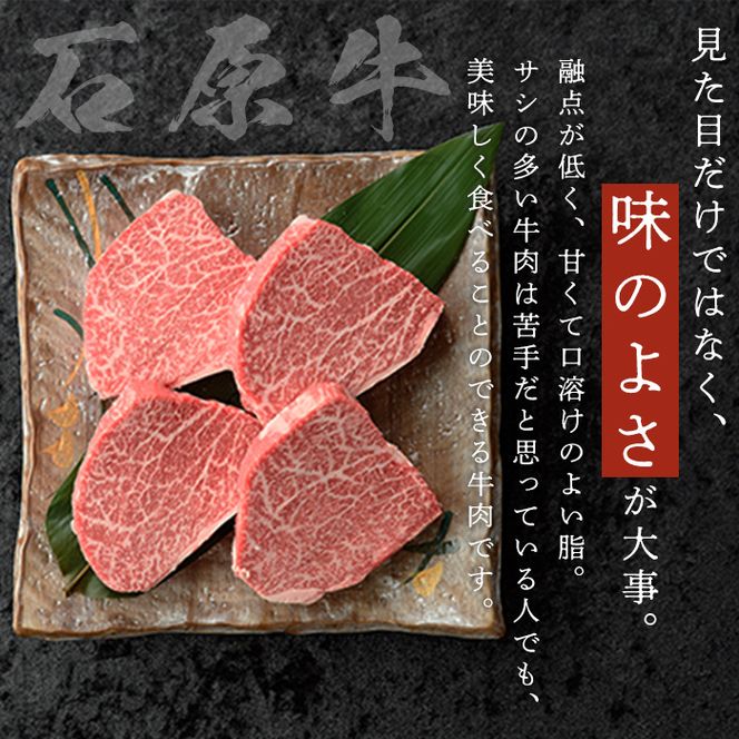 ＜数量限定＞石原牛 ヒレステーキ ヒレ(計480g・120g×4枚) 黒毛和牛 国産 九州産 鹿児島県産 牛肉 ブランド牛 和牛 ヒレ ステーキ 赤身 冷凍 贅沢 贅沢な一品 贈答用 ギフト用【株式会社石原PRO】akn083-10