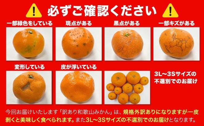 和歌山県産 訳あり みかん (3S～3L) 選べる内容量 約1.5kg 約5kg 約10kg《11月上旬-12月末頃出荷》和歌山県 日高川町 果物 フルーツ 訳ありみかん 家庭用 お試し 大容量 みかん 5kg みかん 10kg---wfn_wlocal_11j12m_25_3000_1500g---
