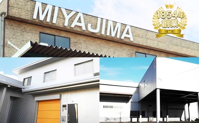 定期便 4ヶ月毎 全3回 ボックス ティッシュ 70箱 150組 300枚 ティッシュペーパー 紙 ペーパー BOX 日用品 備蓄 吸水 消耗品 生活用品 おすすめ 肌触り 防災 ストック 備蓄用 生活応援 宮嶋商店 送料無料 岐阜県 【 】 