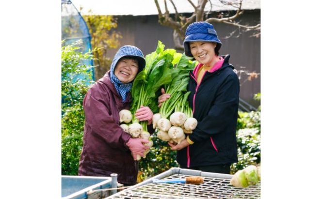 山内かぶらのポタージュスープ200g×6食 スープ ポタージュ 湯銭 簡単調理 朝食 冷凍 若狭町