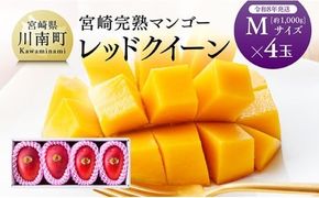【令和8年発送】宮崎県産完熟マンゴー　「レッドクイーン」M×4玉 【 果物 フルーツ マンゴー 宮崎県産 完熟マンゴー みやざきマンゴー 先行予約 数量限定 期間限定 】 [C03215]