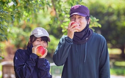 【訳あり】シナノドルチェ 約3kg 6～12玉 ［ おぶせファーマーズ ］ 数量限定 期間限定 果物類 林檎 りんご リンゴ 規格外 不揃い フルーツ 長野県産 信州産 令和7年産 【2025年9月中旬発送】 ［FH-56］