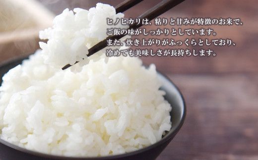 【定期便12ヶ月】名手農園の淡路島産ヒノヒカリ 10kg　[精米 白米