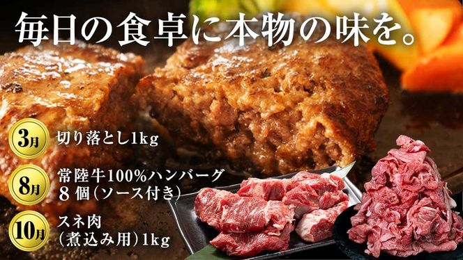 ＼ 選べるスタート月 ／ 【定期便】【全12回】『常陸牛』人気12か月堪能セット 牛肉 肉 お肉 国産 国産牛 ヒレ ステーキ ハンバーグ サーロイン 赤身 切り落とし 霜降り カルビ すき焼き しゃぶしゃぶ 和牛 黒毛和牛 (茨城県共通返礼品) [BX20-111-NT]