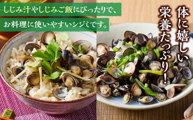 漁師直送！宍道湖産ヤマトシジミ・Lサイズ冷凍4kg 322032_EN003