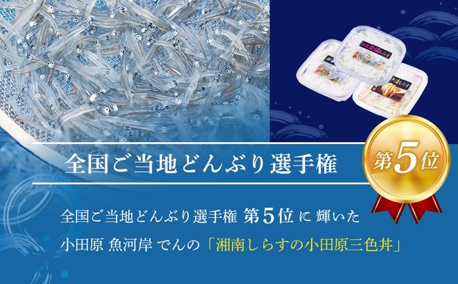 湘南しらす　3色セット｜魚介 湘南産しらす 食べ比べ 人気 おすすめ しらす 小魚 海産物 おつまみ 冷凍 食品 加工品 おすすめ 人気 送料無料 神奈川県 小田原市 142069_DV013