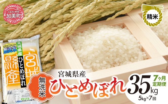 y{錧zy7ցzR7 {錧Y ЂƂ߂ڂ  5kg×7 [ {錧   ]   R  sw-hb05-mu-t7-r7