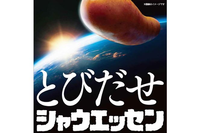 シャウエッセン 約6本入 2束 6袋 計72本 [ 日本ハム マーケティング 静岡県 吉田町 22424675] 冷蔵 小分け ウインナー ウィンナー ソーセージ 粗びき 粗挽き あらびき 業務用 惣菜 弁当 お弁当 おかず おつまみ バーベキュー