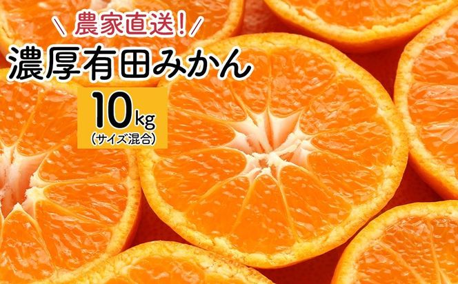 農家直送！濃厚有田みかん10kg(サイズ混合) AO011