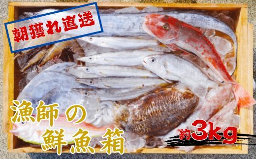 889.漁師の鮮魚箱（約3kg）(A889-3)