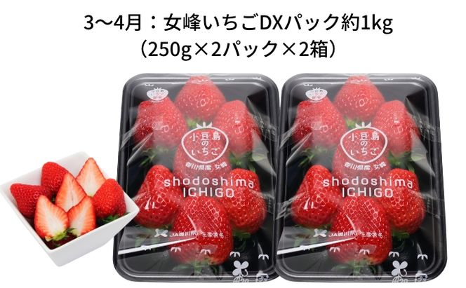【 小豆島 】【4回お届け】土庄町 季節の果物 定期便 4回