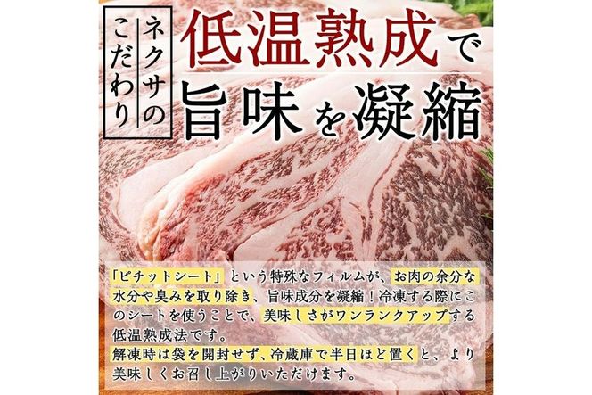 おおいた和牛 リブロースステーキ (計1kg・リブロースステーキ約250ｇ×4枚+ステーキソース20g×4袋) 国産 牛肉 肉 霜降り 低温熟成 ステーキ A4 和牛 ブランド牛 BBQ 冷凍 大分県 佐伯市【DH70】【(株)ネクサ】