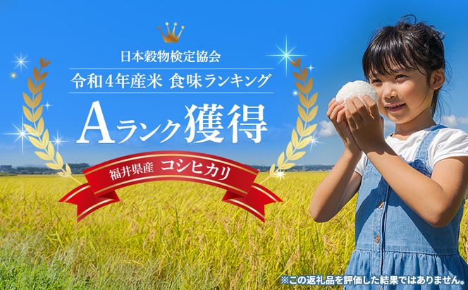 【11月お届け】若狭町コシヒカリ10kg 米 お米 こしひかり 福井県
