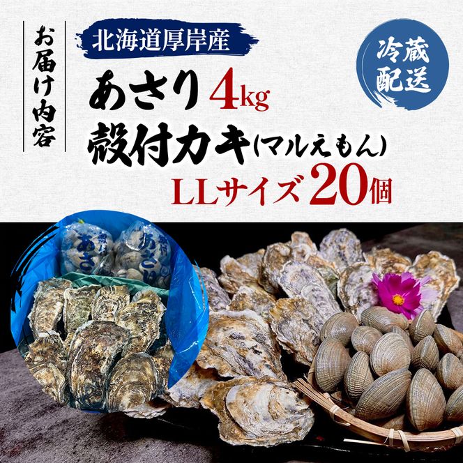 北海道 厚岸産 砂抜き済み あさり 4kg ＆ ブランド牡蠣 マルえもん 殻付き LLサイズ 20個 【光輝】 [ 魚貝類 海鮮 海の幸 みそ汁 酒蒸し アサリバタ 産地直送 生食用牡蠣 生食用 牡蠣 カキ ］
