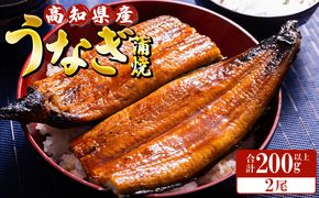 高知県産養殖うなぎ蒲焼 100～120g 2尾セット(合計200g以上) ss-0044