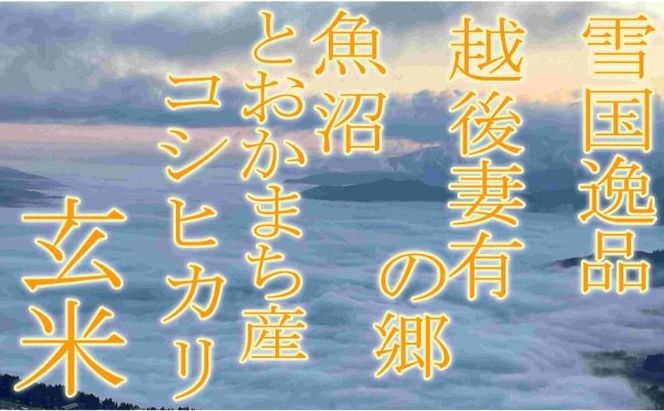 【令和8年産 先行予約】●定期便・玄米●【雪国逸品4kg×3ヶ月】 越後妻有の郷 魚沼十日町産コシヒカリ お米 ご飯 良質 ミネラル 極上 新鮮 香り つや 粘り