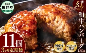 幻のあかうし和牛ハンバーグ 11個入り 3ヶ月定期便 1個120g 田野屋青蜂 白鯆 完全天日塩練り込み 肉 お肉 国産牛 土佐あかうし 四万十ポーク おかず 惣菜 おいしい お取り寄せ 冷凍 配送 高知県 田野町