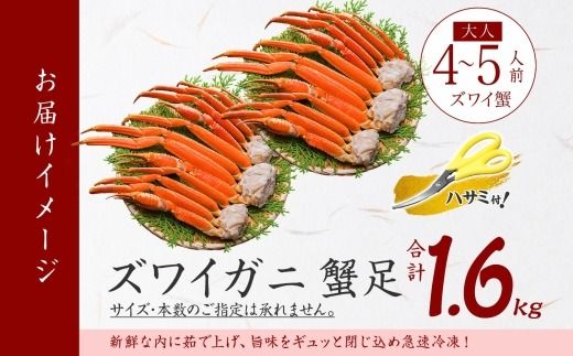 3479. ズワイガニ 蟹足 ボイル 約 800g ×2 計 1.6kg 前後 4-5人前 カニ 蟹 かに ズワイ ズワイ蟹 ずわい ずわい蟹 ズワイガニ 脚 ずわいがに 足 かに足 かに脚 海鮮 鍋 正月 人気 お取り寄せ グルメ ギフト 贈答 お歳暮 冷凍 送料無料 北海道 弟子屈町
