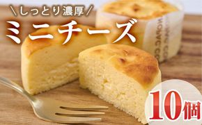 濃厚ミニチーズケーキ (計10個) チーズケーキ チーズ スイーツ 冷凍 お菓子 おやつ 焼き菓子 お取り寄せ 大分県 佐伯市【AJ87】【(有)ケーキ大使館クアンカ・ドーネ】