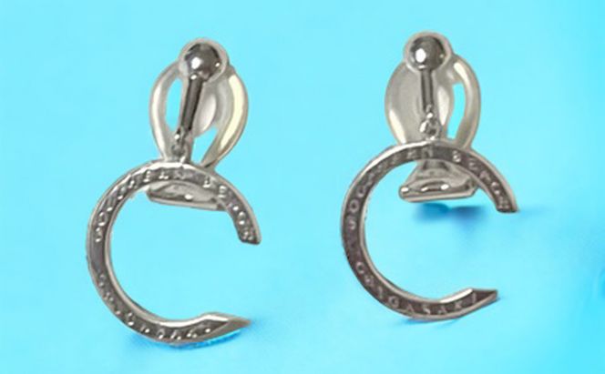 SV茅ヶ崎サザンCイヤリングS 