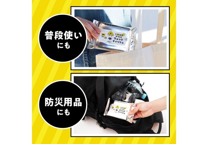 【メール便発送】 防災対応ウェットティッシュ セット【選べる個数 2個 / 4個 / 6個 /20個 / 45個 】　防災 除菌 5年保証 高防湿性 長期保存 備蓄 災害 山梨 富士吉田