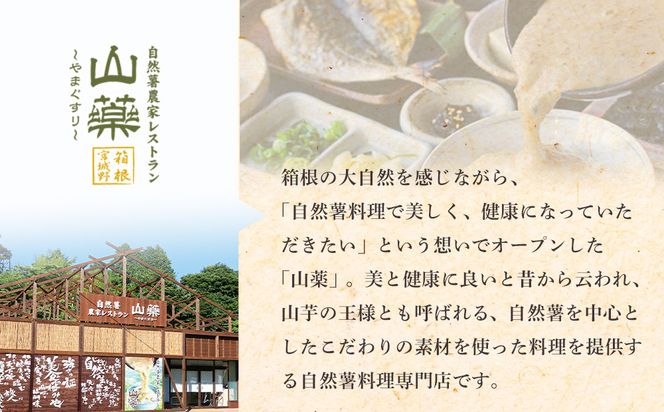 自然薯の味をお楽しみください。自然薯生とろろ100ｇ×10ｐセット【とろろ 極上とろろ 山芋 お家用 家庭用 国産 セット商品 自然薯 神奈川県 小田原市 】 142069_DV010