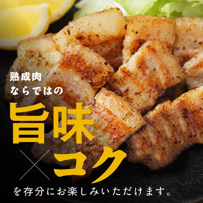 宮崎県産熟成豚 バラ焼肉セット N0105-YA2282-sku