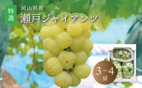 真庭市産 瀬戸ジャイアンツ 特選 3～4房 / (2026年9月中旬以降発送予定) ぶどう 岡山 真庭 葡萄 果物 フルーツ ブドウ 人気 数量限定 皮ごと 種なし 産地直送 新鮮 桃太郎ぶどう 大粒 新食感 人気上昇中 ギフト 贈答用 【配送不可地域：北海道／沖縄県／離島】 【jujy012-02】