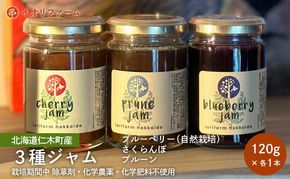 北海道仁木町産 ジャム120g×3種セット（ブルーベリー・プルーン・さくらんぼ） 栽培期間中 除草剤・化学農薬・化学肥料不使用 サクランボ プルーン ブルーベリー ジャム 果物 フルーツ 北海道 仁木町 [iori farm]