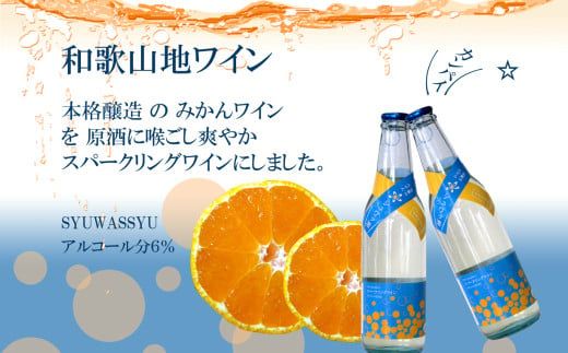 有田みかんスパークリングワイン6本セット（A1062-1）