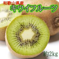 和歌山県産キウイフルーツ約2kg（サイズ混合）※2026年11月下旬～2027年2月下旬頃に発送【tecj1039】