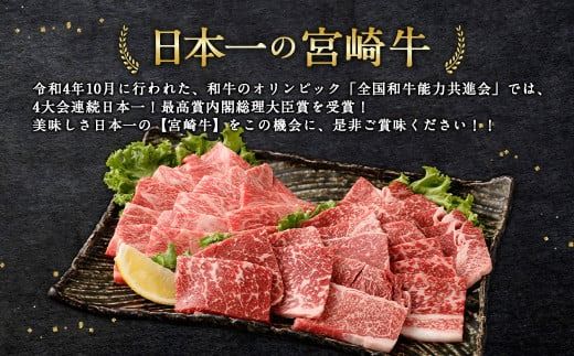 ＜宮崎牛 焼肉 2種 (赤身霜降り)＞1か月以内に順次出荷【c1194_mc_x1】 計約900g 肩ロース ウデorモモ