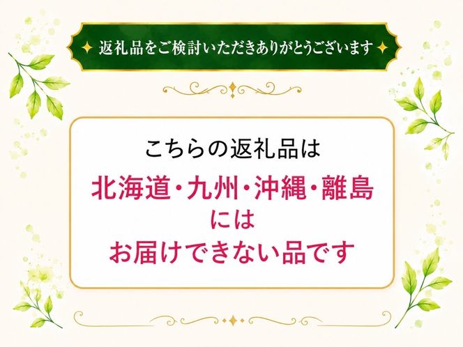 【2026年発送★先行予約】フルーツ王国笛吹市の大粒シャインマスカット3~4房2kg  137-003-26y